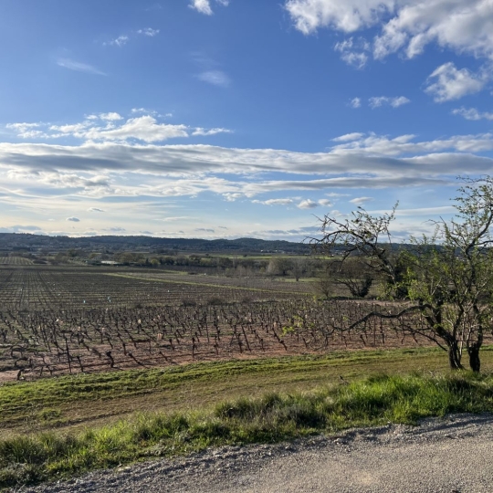 TERRAIN MEDITERRANEEN : Terrain | LA ROUVIERE (30190) | m2 | 168 000 € 