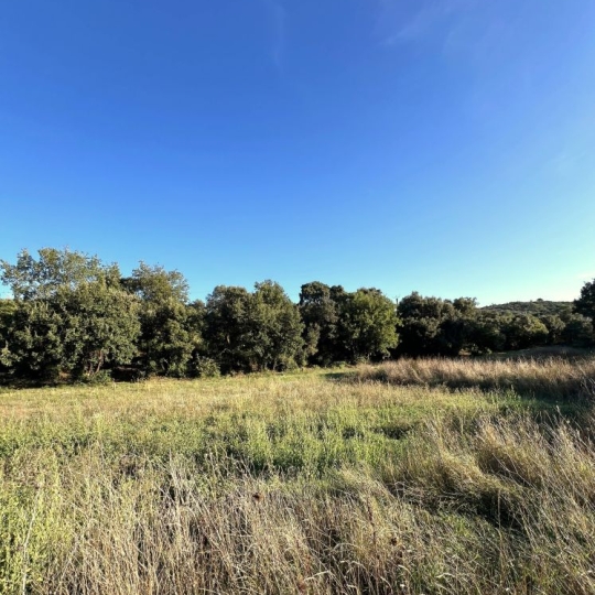  TERRAIN MEDITERRANEEN : Terrain | SAINT-BENEZET (30350) | 0 m2 | 65 000 € 