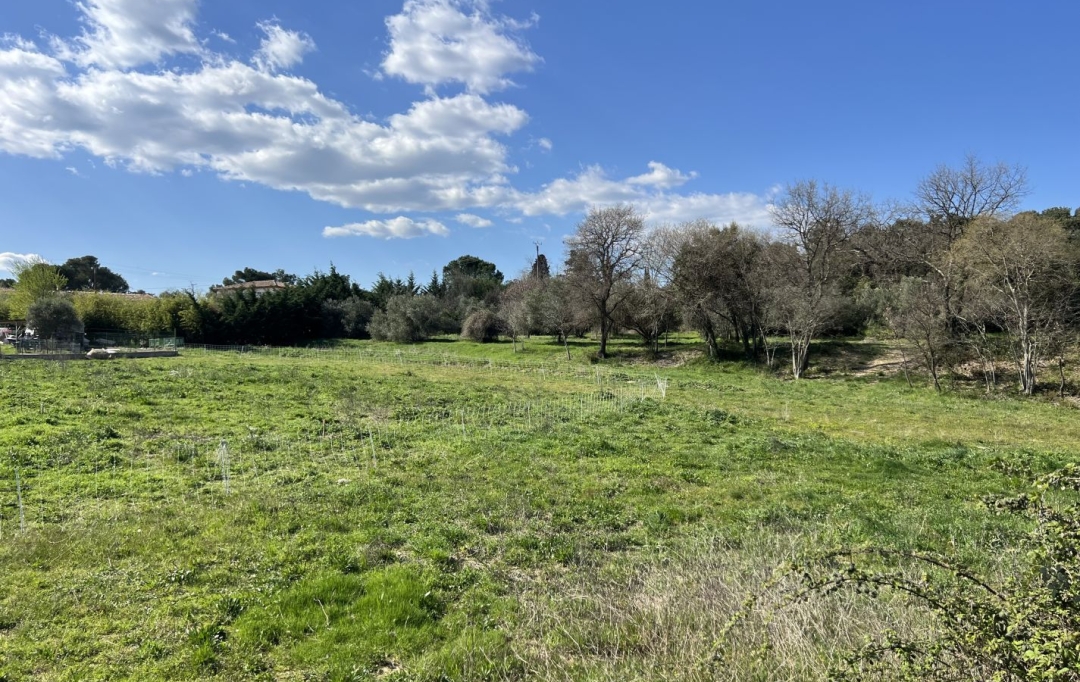 TERRAIN MEDITERRANEEN : Terrain | SAINT-BENEZET (30350) | 0 m2 | 83 000 € 