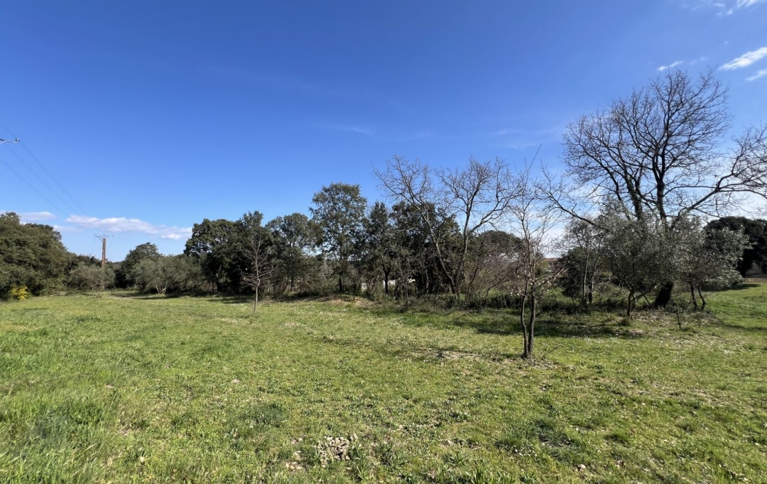 TERRAIN MEDITERRANEEN : Terrain | SAINT-BENEZET (30350) | 0 m2 | 99 000 € 