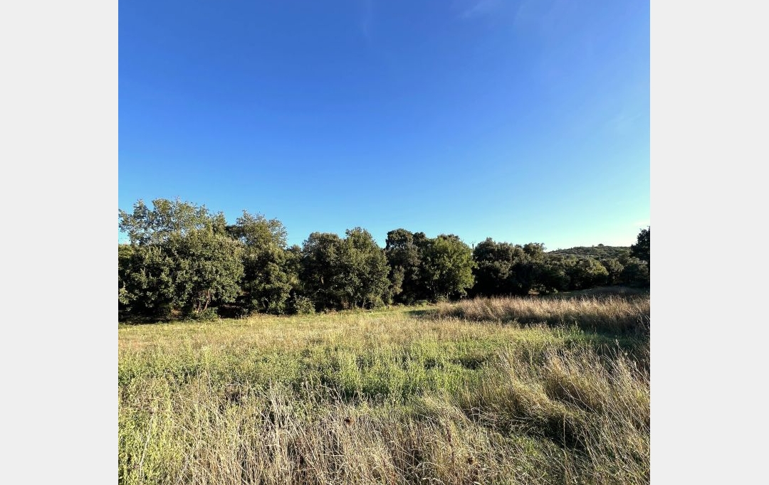 TERRAIN MEDITERRANEEN : Terrain | SAINT-BENEZET (30350) | 0 m2 | 65 000 € 
