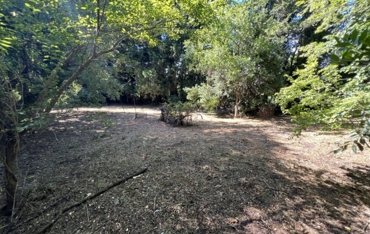  TERRAIN MEDITERRANEEN Terrain | BAGNOLS-SUR-CEZE (30200) | 0 m2 | 66 620 € 