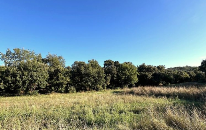  TERRAIN MEDITERRANEEN Terrain | SAINT-BENEZET (30350) | 0 m2 | 65 000 € 